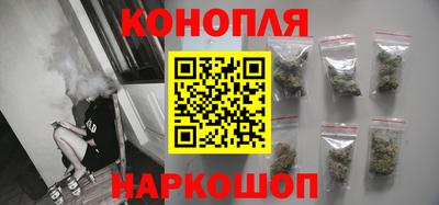 прущие грибы Будённовск