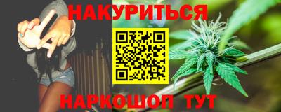 прущие грибы Будённовск