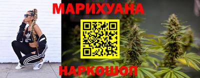 прущие грибы Будённовск