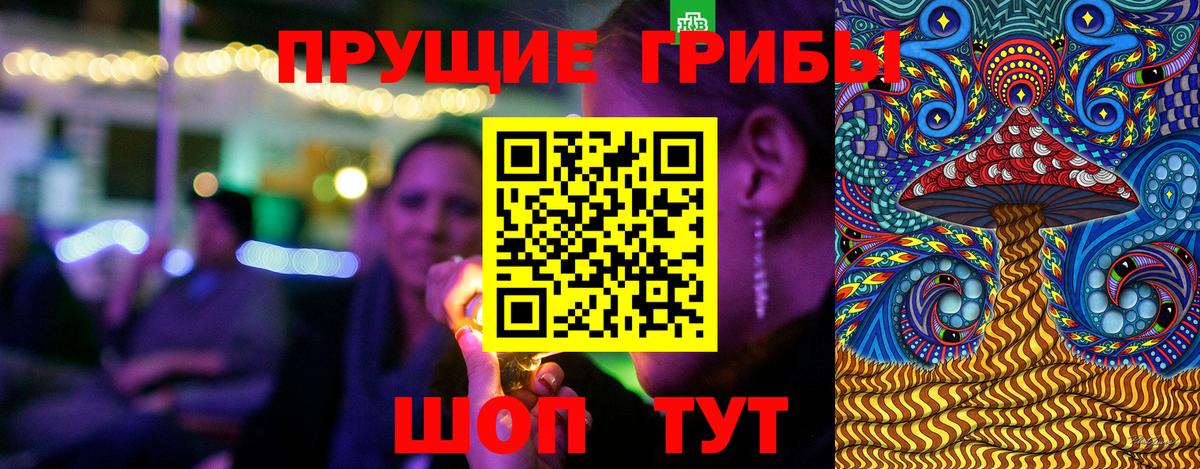 Сергиев Посад  Псилоцибиновые грибы GOLDEN TEACHER  Вход с VPN 